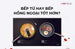 Bếp từ hay bếp hồng ngoại tốt hơn? So sánh ưu nhược điểm